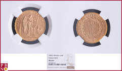 20 Francs 1896A Fasces / Faisceau, Gold, Fr 592, Gad 1063, in NGC holder nr. 4377084-091. Population (NGC/PCGS combined): 11. NO (0%) BUYER'S PREMIUM ...