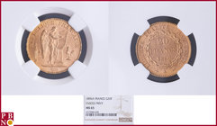 20 Francs 1896A Fasces / Faisceau, Gold, Fr 592, Gad 1063, in NGC holder nr. 4377084-028. Population (NGC/PCGS combined): 22; only 3 coins graded high...