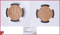 20 Francs 1896A Fasces / Faisceau, Gold, Fr 592, Gad 1063, in NGC holder nr. 4377084-026. Population (NGC/PCGS combined): 22; only 3 coins graded high...