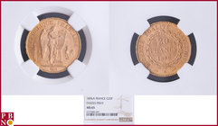 20 Francs 1896A Fasces / Faisceau, Gold, Fr 592, Gad 1063, in NGC holder nr. 4377084-047. Population (NGC/PCGS combined): 22; only 3 coins graded high...