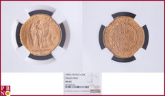 20 Francs 1896A Fasces / Faisceau, Gold, Fr 592, Gad 1063, in NGC holder nr. 4377084-065. Population (NGC/PCGS combined): 22 ; only 3 coins graded hig...