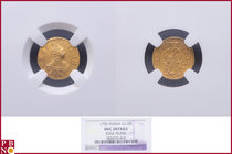 Elizabeth (1741-1762), Poltina (1/2 rouble), 1756, Gold, Fr. 118, Bitkin 70, in NGC holder nr. 3824722-010, edge filing

UNC DETAILS