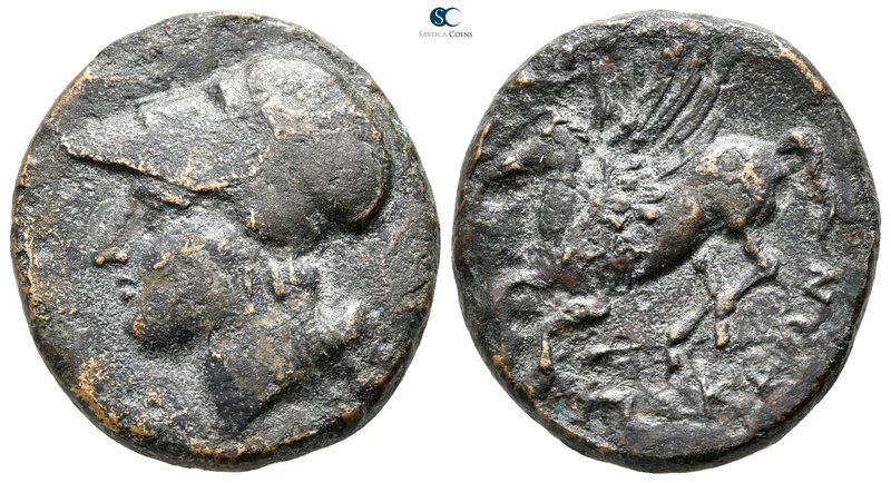 Sicily. Syracuse 310-308 BC. 
Hemidrachm Æ

24mm., 11,00g.



very fine