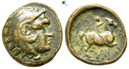Kings of Macedon. Antigonos II Gonatas 277-239 BC. Unit Æ