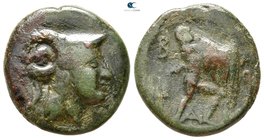 Kings of Macedon. Aigai or Pella mint. Antigonos II Gonatas 277-239 BC. Bronze Æ