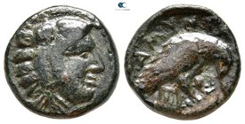 Kings of Macedon. Aigai or Pella mint. Amyntas III 393-369 BC. Bronze Æ