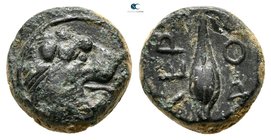 Thrace. Chersonesos, Kardia or Agora 386-309 BC. Bronze Æ