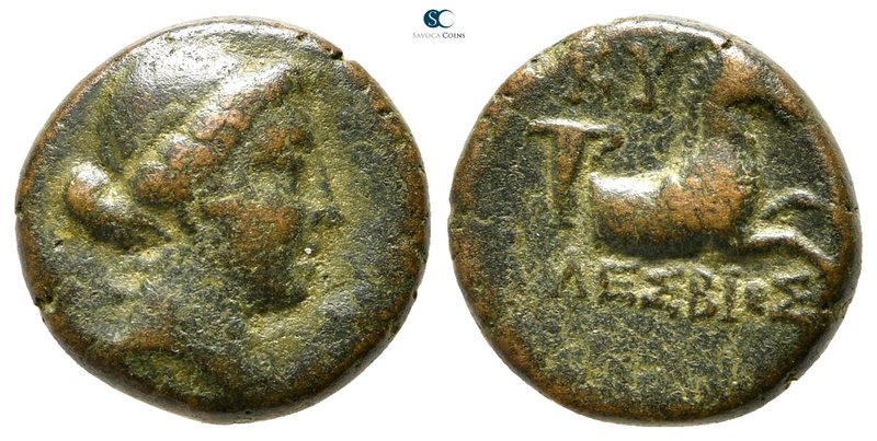 Aeolis. Kyme circa 250-190 BC. 
Bronze Æ

13mm., 3,26g.



very fine