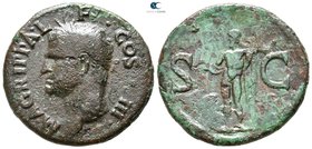 Agrippa Died 12 BC. Struck under Caligula. Rome. As Æ