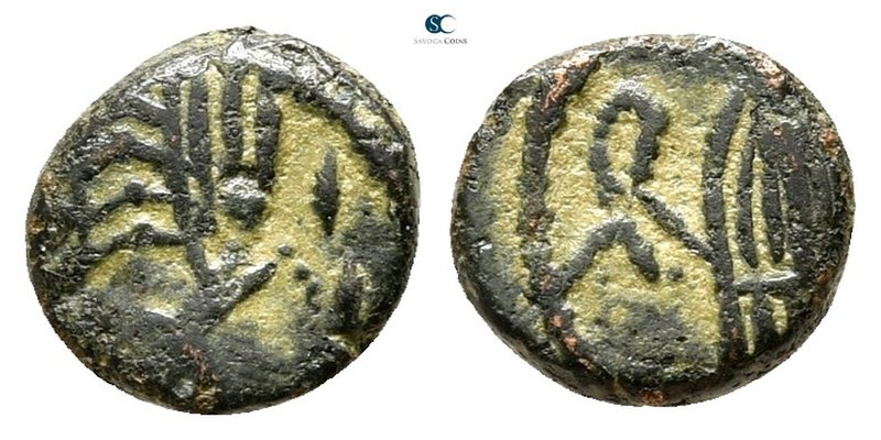 The Vandals. Uncertain mint or Carthage AD 496-523. Thrasamund (?).
Nummus Æ
...