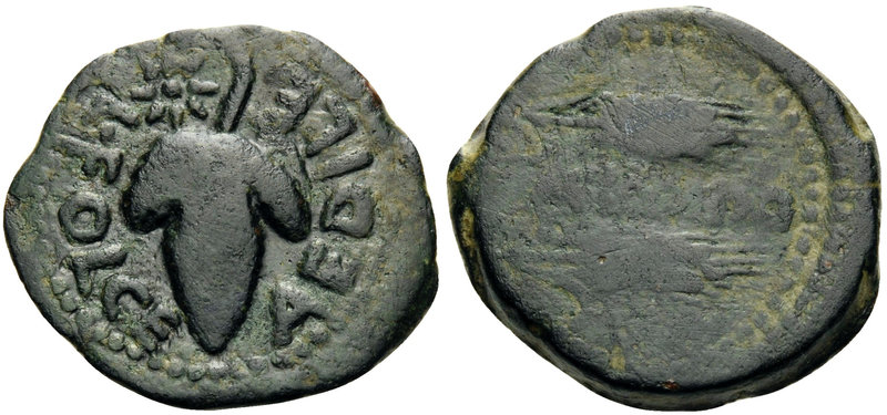SPAIN. Acinipo. 1st century BC. (Bronze, 23 mm, 8.67 g, 3 h), L. Folce, aedile. ...
