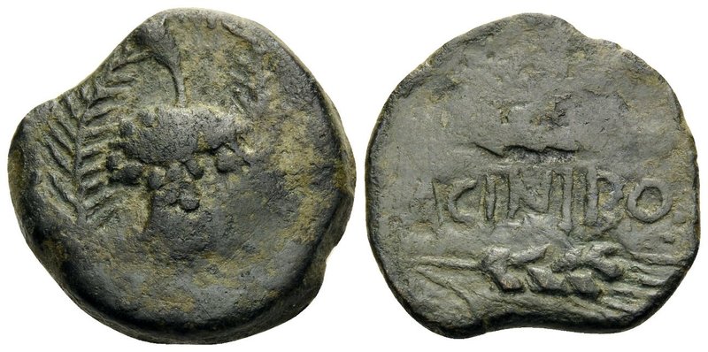 SPAIN. Acinipo. 1st century BC. (Bronze, 21 mm, 7.05 g, 10 h). Bunch of grapes b...