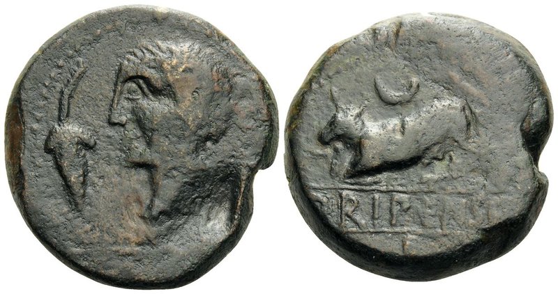 SPAIN. Orippo. 1st half of 2nd Century BC. (Bronze, 31 mm, 32.26 g, 5 h). Male h...