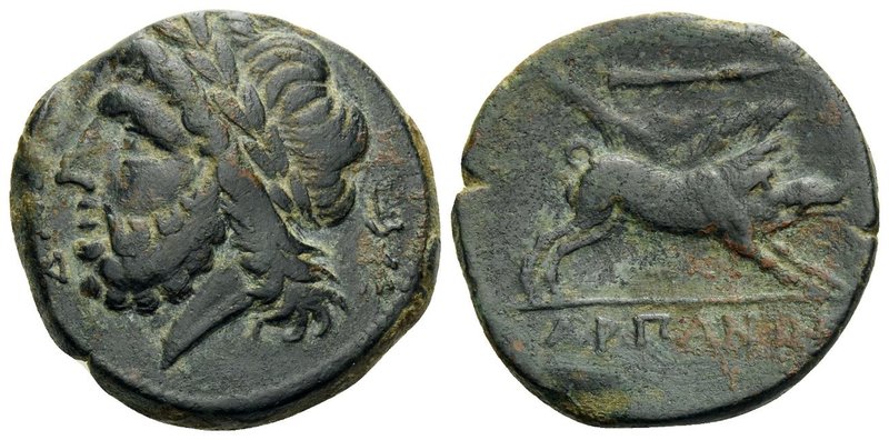 APULIA. Arpi. Circa 215-212 BC. (Bronze, 21 mm, 6.84 g, 7 h). ΔAΞOY Laureate hea...