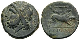 APULIA. Arpi. Circa 215-212 BC. (Bronze, 21 mm, 6.84 g, 7 h). ΔAΞOY Laureate head of Zeus to left, with thunderbolt behind his neck. Rev. ΑΡΠΑ-ΝΩΝ Boa...