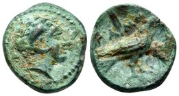LUCANIA. Laos. Second half of the 4th Century BC. (Bronze, 11.5 mm, 1.10 g, 7 h). Head of Apollo Karneios to right. Rev. ΣTA-MO Crow standing to left ...