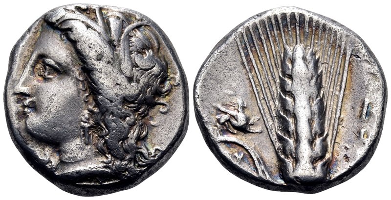 LUCANIA. Metapontum. Circa 330-290 BC. Didrachm or nomos (Silver, 18 mm, 7.70 g,...