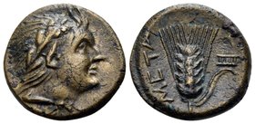 LUCANIA. Metapontum. Circa 300-250 BC. (Bronze, 12 mm, 1.36 g, 3 h). Laureate head of Pan right. Rev. META Ear of barley with leaf to right; syrinx ri...