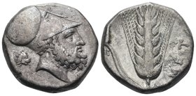 LUCANIA. Metapontum. Circa 340-330 BC. Didrachm or nomos (Silver, 17 mm, 7.71 g, 12 h), Ami... Bearded head of Leukippos to right, wearing Corinthian ...