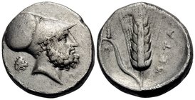 LUCANIA. Metapontum. Circa 340-330 BC. Nomos or Didrachm (Silver, 20 mm, 7.81 g, 9 h), Ami.... Head of Leukippos to right, wearing Corinthian helmet; ...