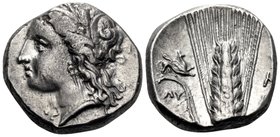 LUCANIA. Metapontum. Circa 330-290 BC. Didrachm or nomos (Silver, 19 mm, 7.93 g, 7 h), Ly... Head of Demeter to left, wearing grain wreath, triple pen...