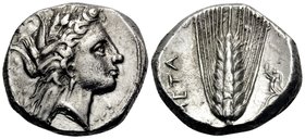 LUCANIA. Metapontum. Circa 330-290 BC. Didrachm or nomos (Silver, 20 mm, 7.85 g, 7 h), Ly.... Head of Demeter to right, wearing wreath of barley ears ...