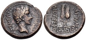 PHRYGIA. Apameia. Augustus, 27 BC-14 AD. Assarion (Bronze, 19.5 mm, 5.84 g, 1 h), Attalos, son of Diotrephes. AΠAMEΩN Bare head of Augustus to right. ...