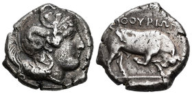 Lucania. Thourioi. Nomos - Distater. 400-350 a.C. (Sng ans-957). Anv.:  Cabeza de Atenea con casco adornado. Rev.:  Toro embistiendo a derecha, arriba...