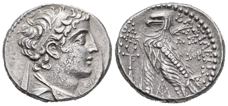 Imperio Seleucida. Demetrio II. Tetradracma. 146-138 a.C. Siria. (Pozzi-3003 sim...