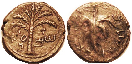 JUDAEA , Bar Kokhba revolt, 134-35 AD, Æ26 ("Medium bronze") Palm tree/Vine Leaf...