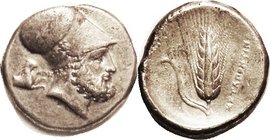Dis tater or Tetradrachm, c.340-330 BC, Helmeted Leukippos head r, Lion forepart behind/Grain ear, club, S414 (£1000); VF, nrly centered, decent metal...