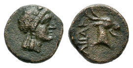 Aeolis. Aigai. AE 9. s. III a.C. (Gc-4166). Rev.: Cabeza de cabra a derecha, detrás leyenda. Ae. 0,82 g. MBC. Est...20,00.