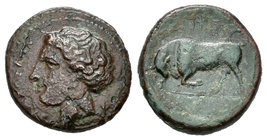 Sicilia. Siracusa. AE 15. 317-289 a.C. Tiempos de Agatokles. (Gc-1196). Rev.: Toro embistiendo a izquierda. Ae. 3,32 g. BC+. Est...20,00.