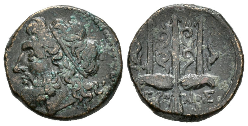 Sicilia. Siracusa. AE 22. 275-215 a.C. Hieron II. (Gc-1223). Anv.: Cabeza de Pos...