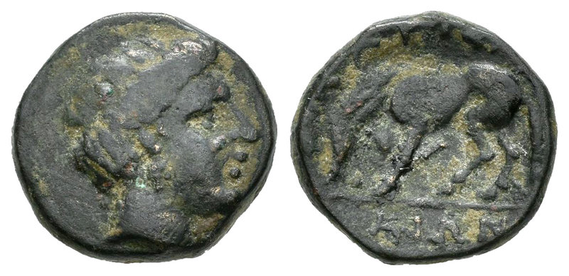 Tesalia. Larissa Phrikonis. AE 14. 352-344 a.C. (Gc-2129). Anv.: Cabeza de la ni...
