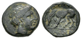 Tesalia. Larissa Phrikonis. AE 14. 352-344 a.C. (Gc-2129). Anv.: Cabeza de la ninfa Larissa a la derecha. Rev.: Caballo pastando a la izquierda. Ae. 2...