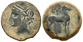 Cartagonova. Calco. 220-215 a.C. Cartagena (Murcia). (Abh-505). (Acip-589). (C-48). Anv.: Cabeza de Tanit a izquierda. Rev.: Caballo paradao con palme...