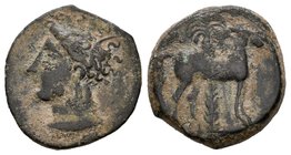 Cartagonova. 1/2 calco. 220-215 a.C. Cartagena (Murcia). (Abh-507). Anv.: Cabeza de Tanit a izquierda. Rev.: Caballo parado a derecha con palmera detr...