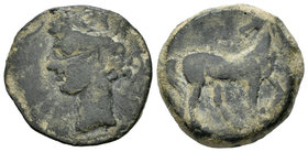 Cartagonova. Calco. 220-215 a.C. Cartagena (Murcia). (Abh-509). (Acip-597). (C-58). Rev.: Caballo a derecha con la cabeza vuelta. Ae. 6,90 g. MBC. Est...