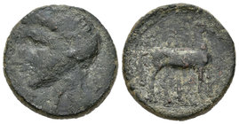 Cartagonova. Calco. 220-205 a.C. Cartagena (Murcia). (Abh-552). (Acip-609). (C-69). Anv.: Cabeza masculina a izquierda. Rev.: Caballo parado a derecha...