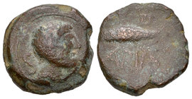 Cunbaria. Semis. 50 a.C. Cabezas de San Juan. (Abh-880). (Acip-2621). (C-3). Anv.: Cabeza masculina a derecha, detrás S. Rev.: Atún a izquierda entre ...