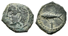 Gadir. 1/4 de calco. 200-100 a.C. Cádiz. (Acip-674). Anv.: Cabeza de Melkart a izquierda con piel de león. Rev.: Atún a izquierda, debajo letra púnica...