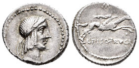 Calpurnia. Denario. 90-89 a.C. Roma. (Ffc-319). (Cal-311u). Anv.: Cabeza laureada de Apolo a derecha. Rev.: Jinete con palma galopando a derecha con l...