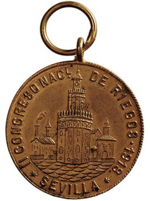 MEDALLAS. AE-27. II Congreso Nacional de Riegos, Sevilla 1918. Con anilla. MBC+.