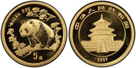 People's Republic gold "Small Date" Panda 5 Yuan (1/20 oz) 1997 MS69 PCGS, KM984. 

HID09801242017