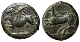 GRECHE - SICILIA - Kainon - AE 20 - Grifone di corsa a s. /R Cavallo impennato a s. Mont. 4295; S. Ans. 1169 (AE g. 6,8)
BB-SPL