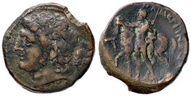 GRECHE - SICILIA - Mamertini - Pentonkion - Testa laureata di Apollo a s. /R Cavaliere a piedi, davanti al suo cavallo S. Cop. 446 (AE g. 2,41)
BB