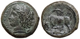 GRECHE - SICILIA - Siracusa - Agatocle (317-289 a.C.) - AE 22 - Testa di Persefone a s. /R Toro cozzante a s. sotto e sopra un delfino, sopra il toro,...