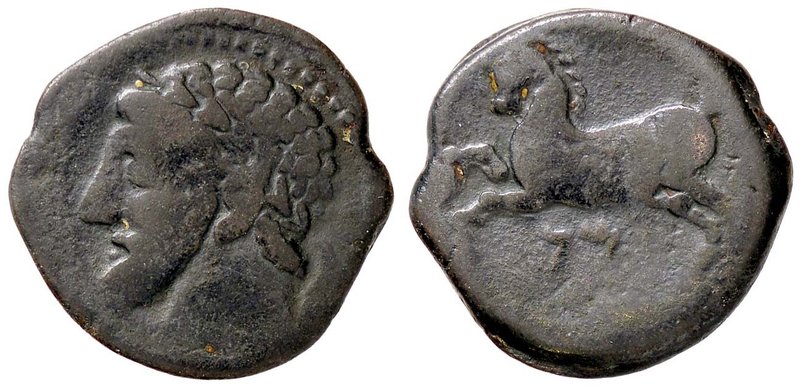 GRECHE - NUMIDIA - Micipsa (148-118 a.C.) - AE 26 - Testa laureata di Masinissa ...