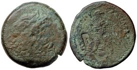GRECHE - RE TOLEMAICI - Tolomeo III, Euergete (246-221 a.C.) - AE 36 - Testa diademata di Zeus Ammone a d. /R Aquila su fulmine a s. retrospicente; ne...